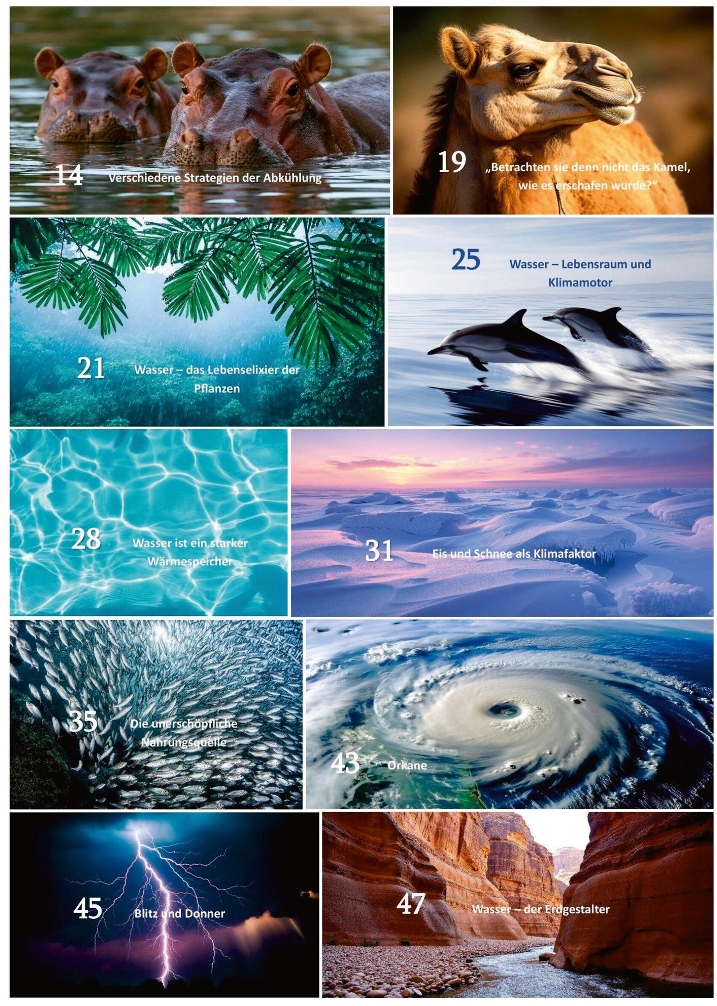 „Allah ist unser Schöpfer – Teil 2: Der Stoff des Lebens – islamisches Kinderbuch über Wasser, Natur und Allahs Schöpfung vom Al-Rayan Verlag“
