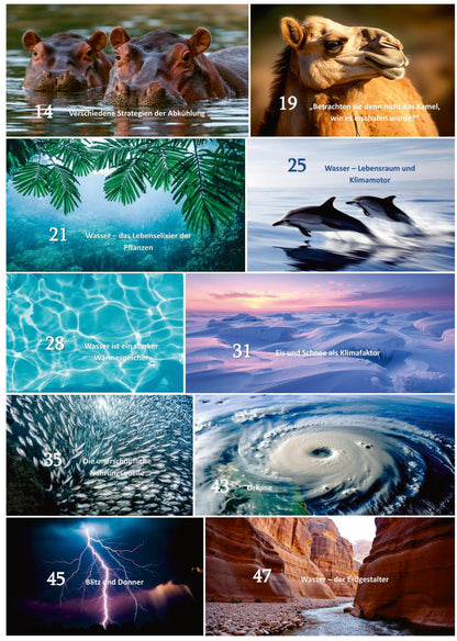 „Allah ist unser Schöpfer – Teil 2: Der Stoff des Lebens – islamisches Kinderbuch über Wasser, Natur und Allahs Schöpfung vom Al-Rayan Verlag“