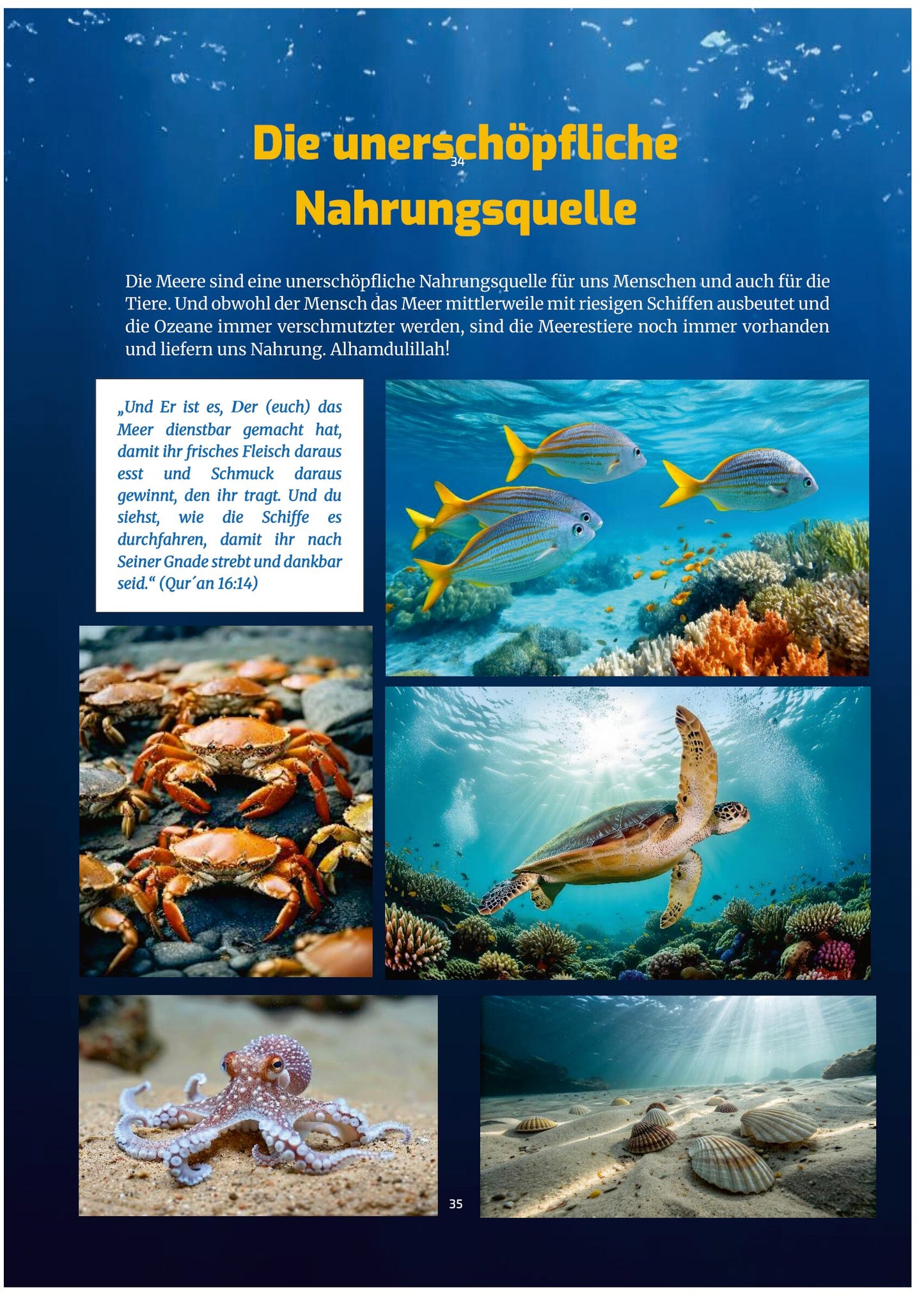 „Allah ist unser Schöpfer – Teil 2: Der Stoff des Lebens – islamisches Kinderbuch über Wasser, Natur und Allahs Schöpfung vom Al-Rayan Verlag“
