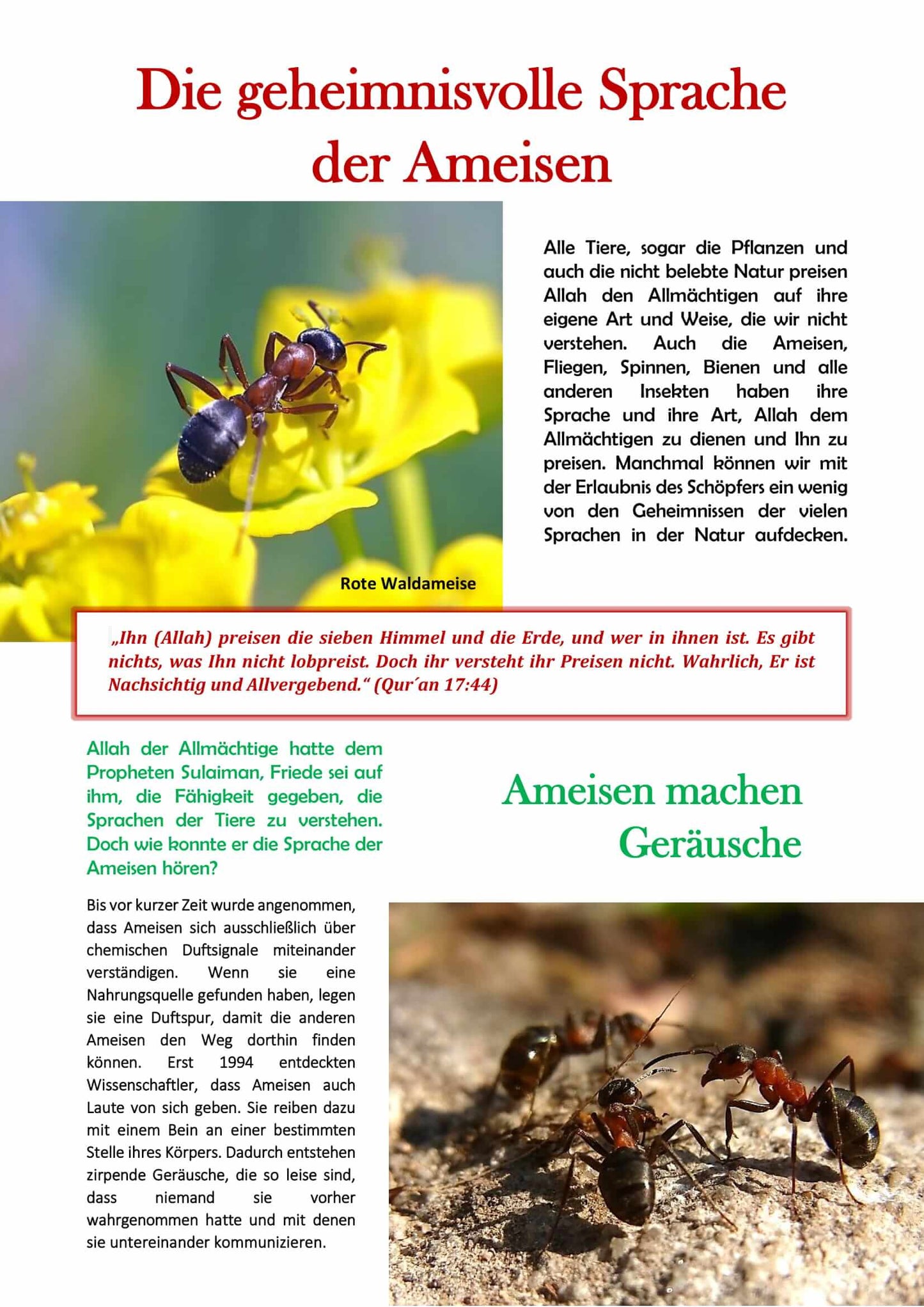 „Allah ist unser Schöpfer – Teil 1“, islamisches Kinderbuch über die Schöpfung, geeignet ab 3 Jahren, erschienen im Al-Rayan Verlag

